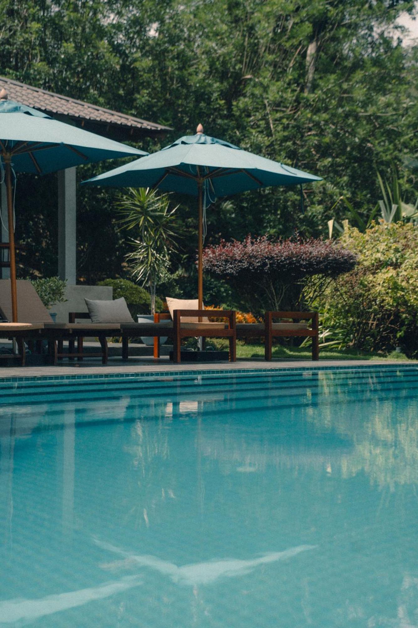 Aarunya Nature Resort - Kandy Kültér fotó